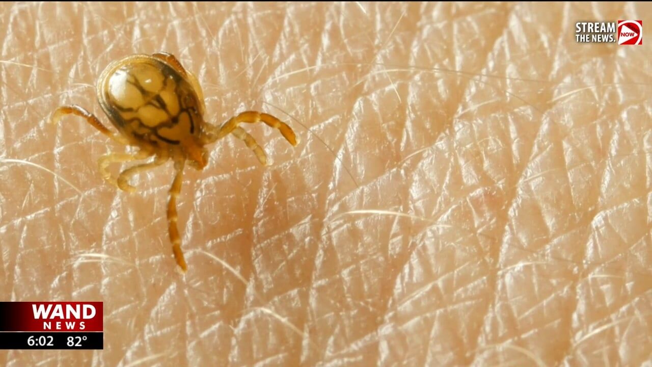 Study shows disease-carrying tick hot spots in Illinois